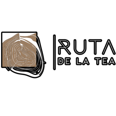Poster for event Ruta de la Tea Bike - Zero Edition