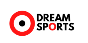 Logo of sponsor Dream Sports