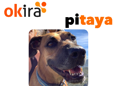 Player avatar 15f268ec 5f55 43e5 b591 42aa42019e7f