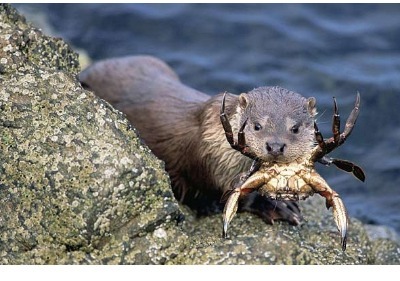 Player avatar 2f1d67b0 3782 11ea ad79 42010a01000a