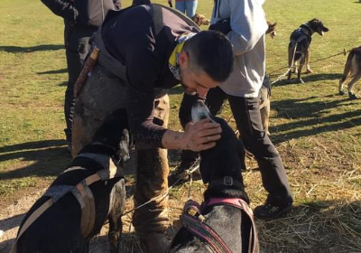 Player avatar 34960812 19fb 4d83 a567 258eaa3d9b54