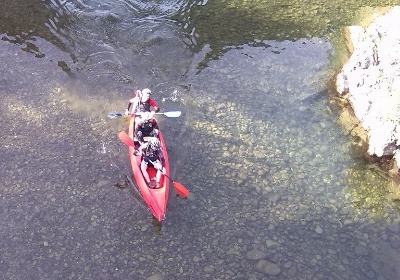 Player avatar 5110704d 3782 11ea ad79 42010a01000a