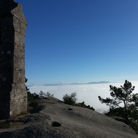 Player avatar 61e5b4c3 3782 11ea ad79 42010a01000a