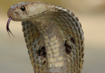 Player avatar 6364ae87 3782 11ea ad79 42010a01000a