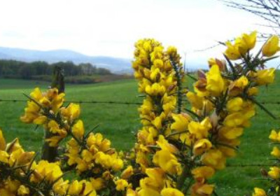 Player avatar 653fd078 3782 11ea ad79 42010a01000a