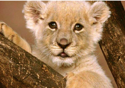 Player avatar 76682a1f 3782 11ea ad79 42010a01000a