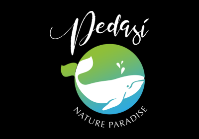 Player avatar 76caf5a1 3782 11ea ad79 42010a01000a