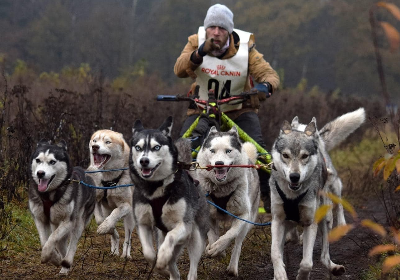 Player avatar 88b115b9 51fa 4165 b290 db3f342f90b5