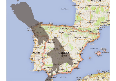 Player avatar 9aa1f5e2 2728 4622 a752 fa40988efd04