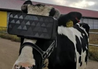 Player avatar e7bb2894 2f85 4fcc 8414 c0970ff5748c