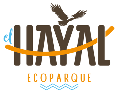 Sponsor logo 308181c6 b063 442d a6fa 708c839edb78
