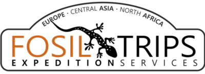 Sponsor logo a6c37cc6 6da7 4ebb ac13 20faf82981bd