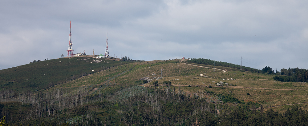 Monte Pedroso